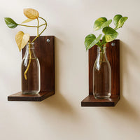 Modern Dark Walnut Wooden Wall Plant Shelf Set – Floating Hydroponic Display Shelves
