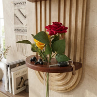 Double Shelf Arch Wall Organizer with Vase Holder