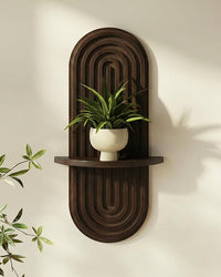 WOODZEST Dark Walnut Solid Wood Floating Wall Shelf for Home Decor